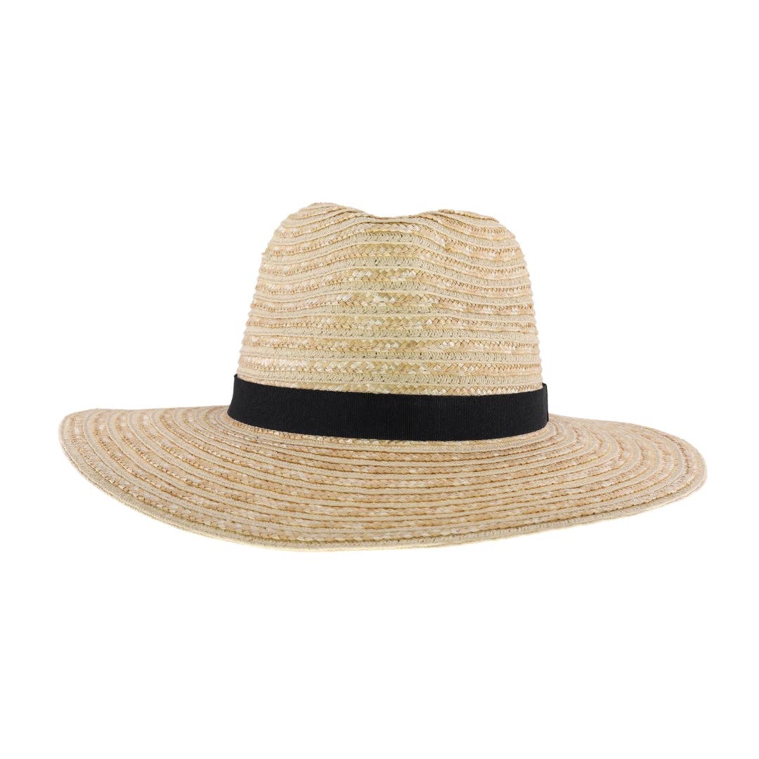 Ribbon Band C.C Panama Hat